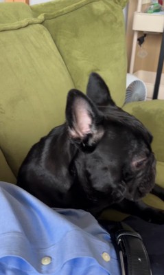 お留守番を察したジェットくん2