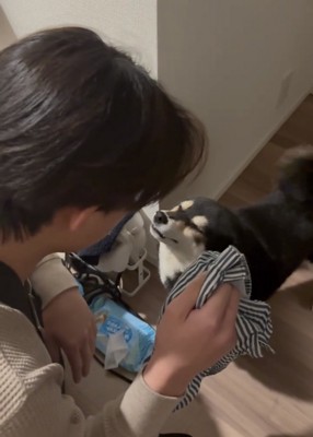 目を細めて人を見つめる犬