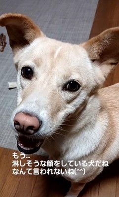 そらちゃんの変化⑩