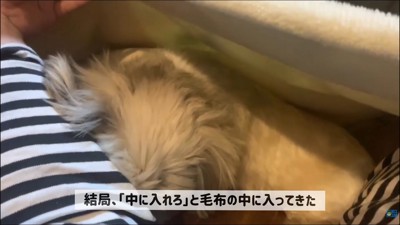 毛布の中に入ってきて…