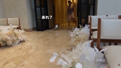 うにちゃんの出番