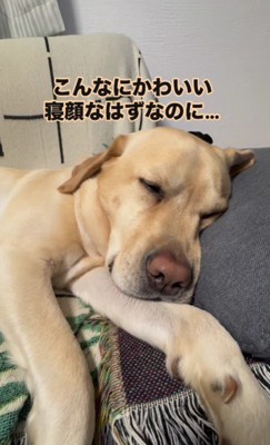 寝顔も可愛い…♡