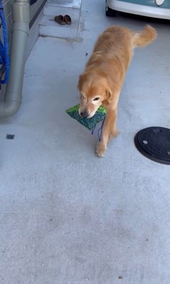 お手伝いするホット君5