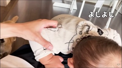 赤ちゃんから離れないハナちゃん2