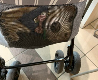 なぜか横向きの体勢に…!