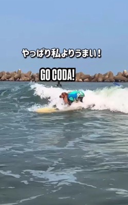 ひとりでも乗れるよ♪