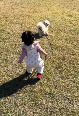 もち君と赤ちゃんのお散歩4