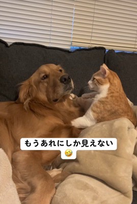 じーっと見つめて…