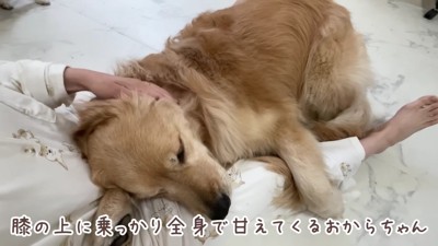 「寂しかったよ」