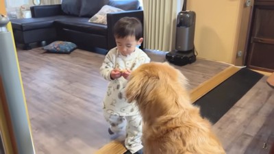 クッキーがほしいジョイくん