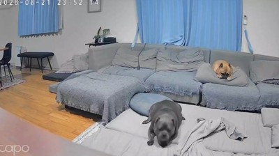 ここで一緒に寝よう