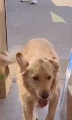 名残惜しいよね