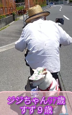 おじいちゃんと自転車に乗るすずちゃん2