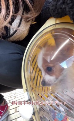 4時間の旅から始まった