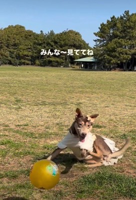 前足に力を込めて…