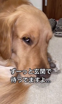 いじけるトノさん5