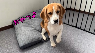 出勤前のママさんとメイちゃん4