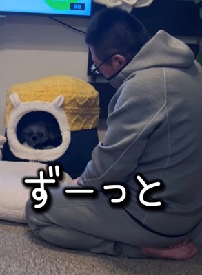 ベッドの中から男性を見つめる犬