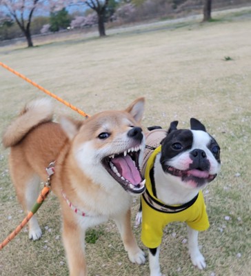 お友だち