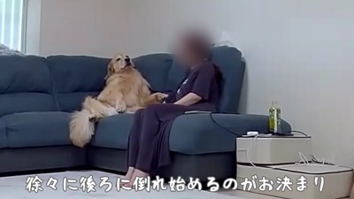 後方へ倒れていき…