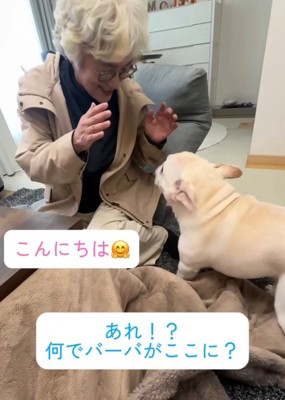顔を見合わせる犬と人
