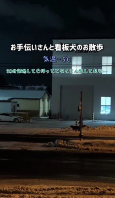 雪の上を全力疾走していた！！