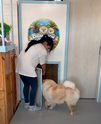 帰っていく犬