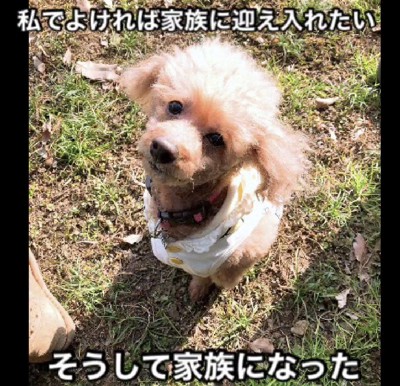 サポートをしてあげたい…