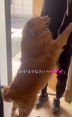 ジャンプして大喜び！