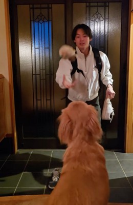 遊んでもらう大型犬