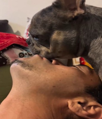 あごを吸われる犬1