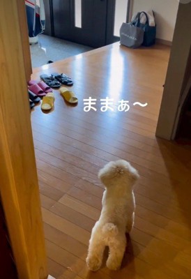 「ママ～！！」