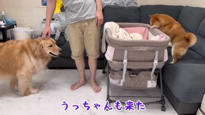 うにちゃんも心配そう