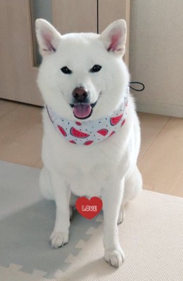 普段はとっても可愛いよ♡