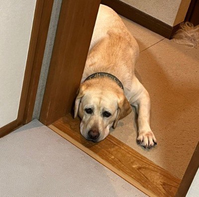 ギリギリラインで耐え忍ぶ