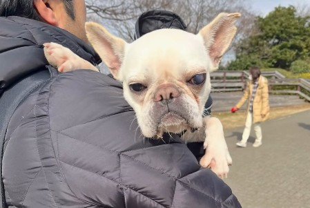 保護当時のうたちゃん