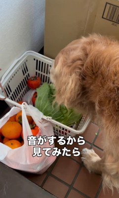 変な音がする…！？