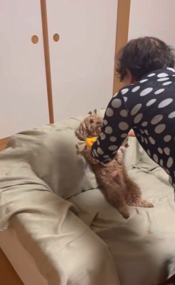 茶々丸くんとおばあちゃん3