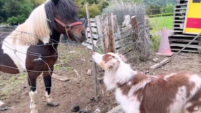 すぐに仲良しに!!