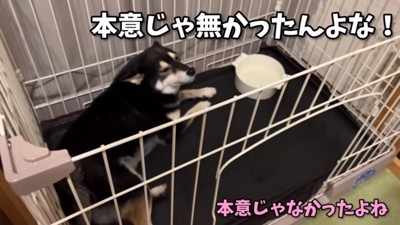 すみすみちゃんを励ます2人