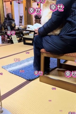 ちょっちゃんの年越し6