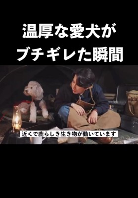 勇敢で頼もしい相棒