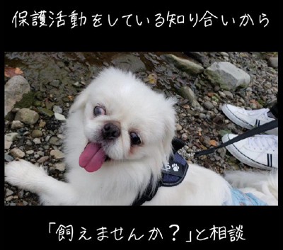 手放されて保護された