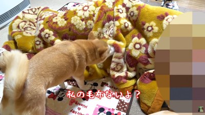 お鼻で毛布をツン♪
