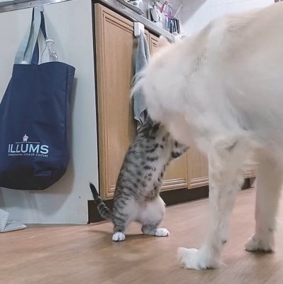 茅ちゃんの勝ち♪
