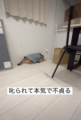 部屋の端っこに…