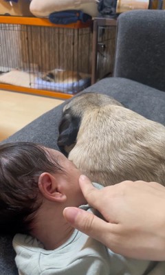 あぽ君とのえる君と赤ちゃん5