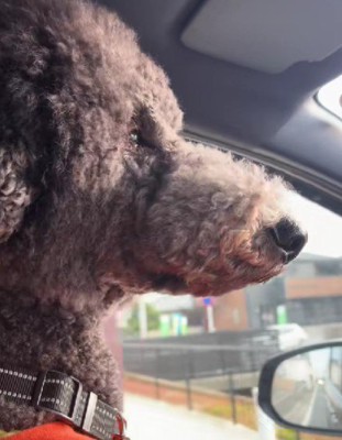 「今日もいい天気だ…」