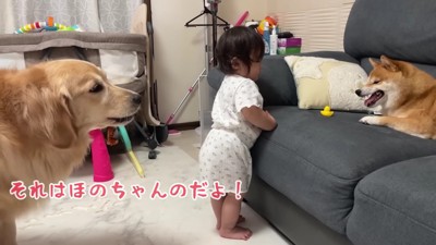 「それはほのちゃんのだよ!」