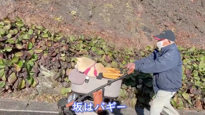 坂道はバギーに乗せて